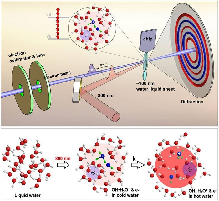 Catching a Glimpse of the Reactive Intermediates in Water in a Trillionth of a Second