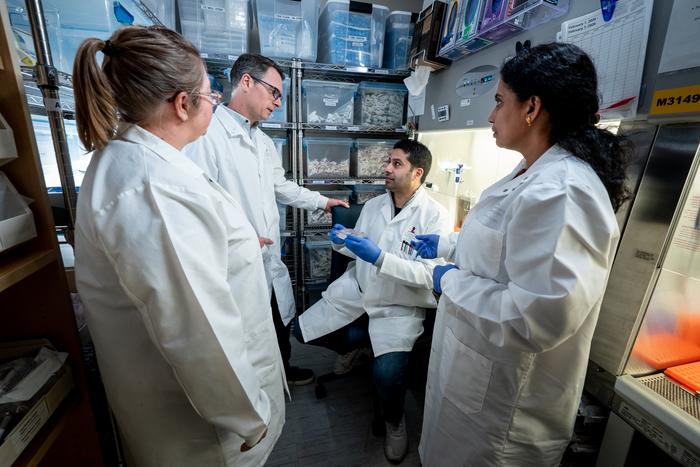 Shared origins illuminate potential dependency across brain tumor types
