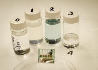 Solar Cell from Trees (2 of 2)