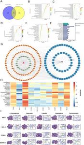 Identification of active compounds and target prediction in YHD