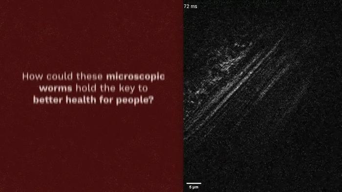 Single-shot wide-field biochemical imaging at 1 kHz frame rate