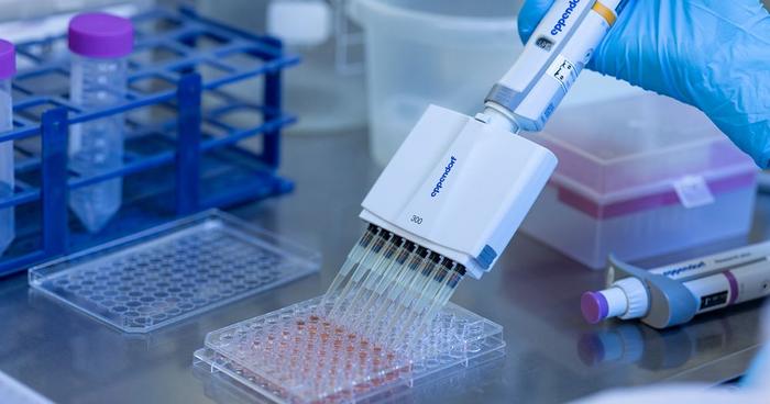 PolyU research unveils hidden microbial threats to ecosystem caused by plastic waste, urging global collaboration to track harmful microbiomes