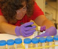 Tumor Sampling
