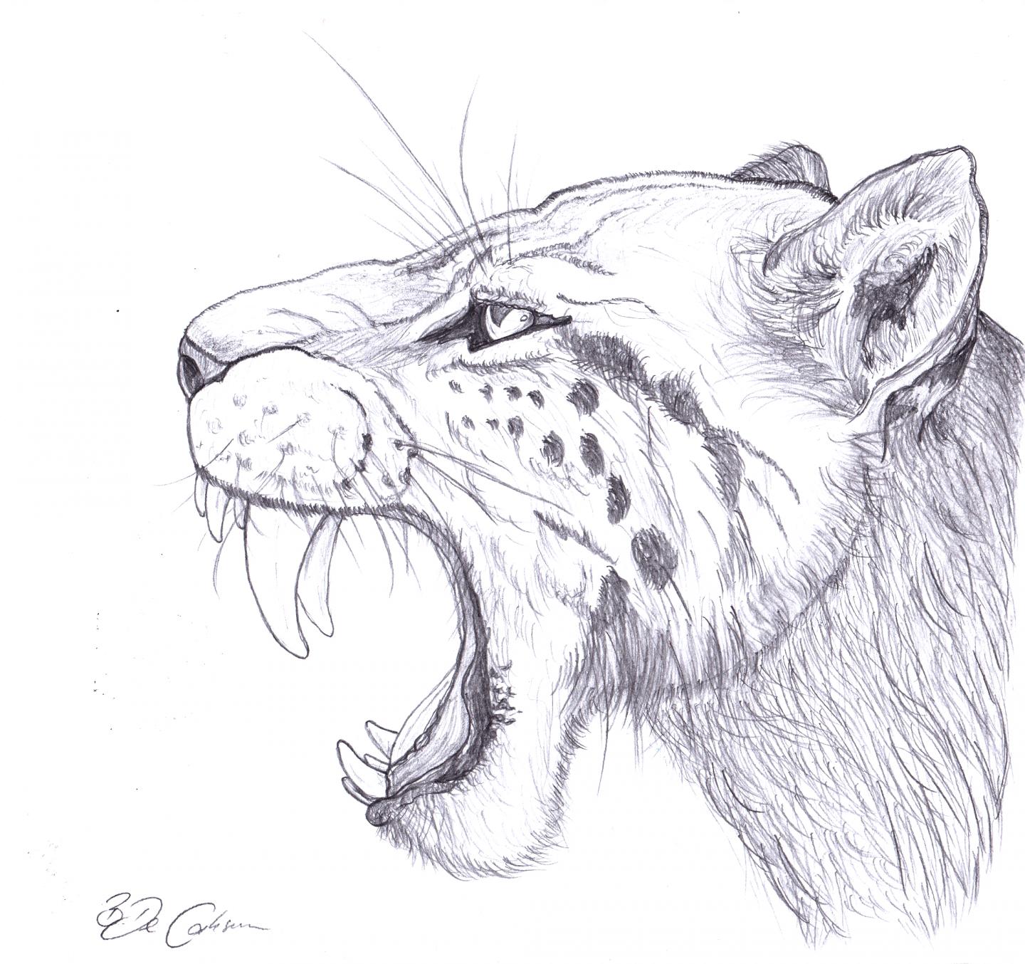 Homotherium