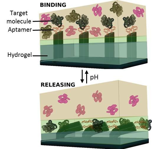 Illustration of the Catch and Release System