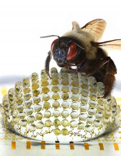 Insect-Inspired Camera (1 of 2)