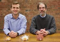 Mass Extinctions Remove Species But Not Ecological Variety, Say UChicago Scientists Jablonski, Edie