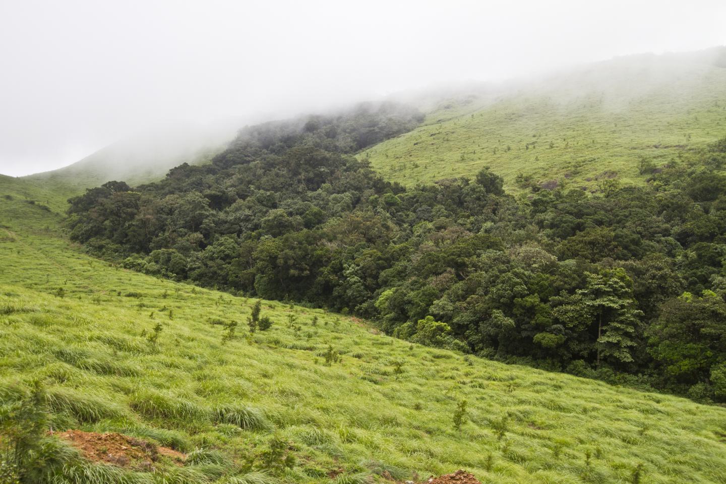 Western Ghats