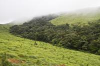 Western Ghats