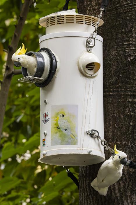 Nest