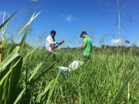 Soil Sampling Amazon Forest Research