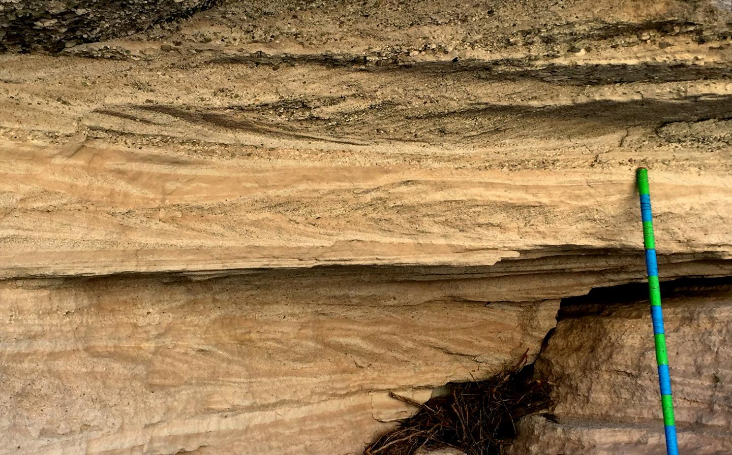 Bouse herringbone pattern