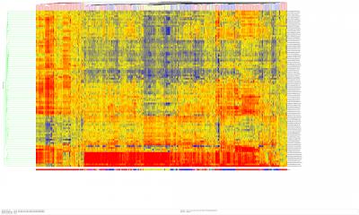 Immunosignature Profiling