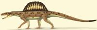 <i>X. sapingensis</i> Reconstruction