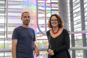 Researcher image