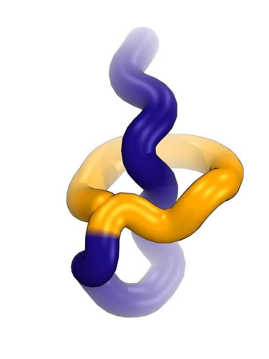 Why don’t antibiotic-making bacteria self-destruct?