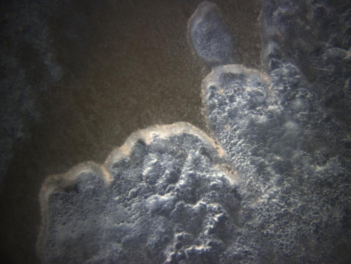 Seafloor Methane