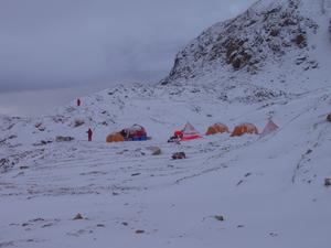 Fieldwork