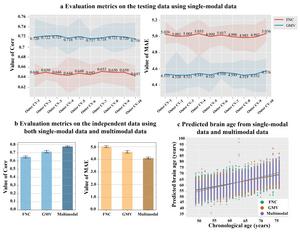 Fig. 2 | The performances of the age predictions using the single-modal and multimodal neuroimaging data.