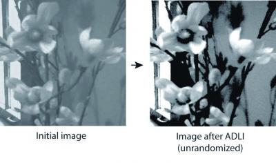 Image Processed With Dynamic Connectivity Algorithm