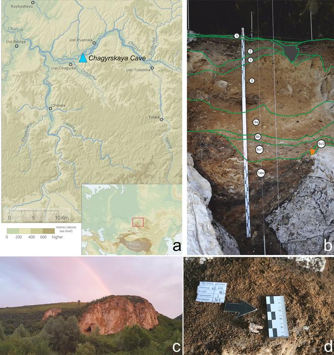 Earliest evidence for invasive mitigation of dental caries by Neanderthals