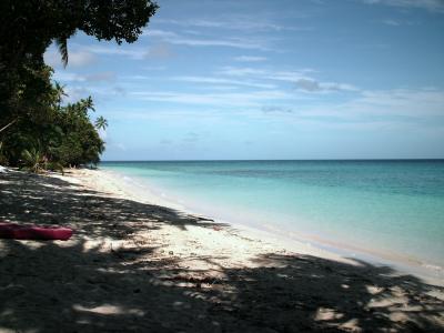 Seaweed Location
