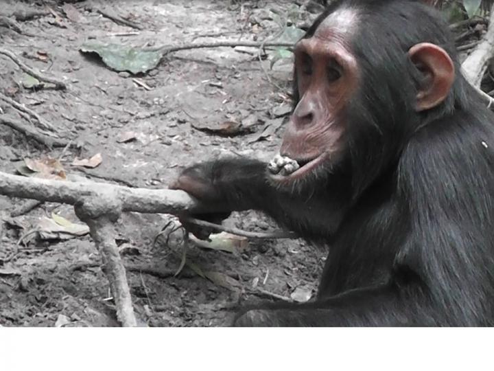 Adolescent Female Eats Clay