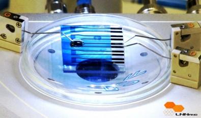 Biosensor LNNano