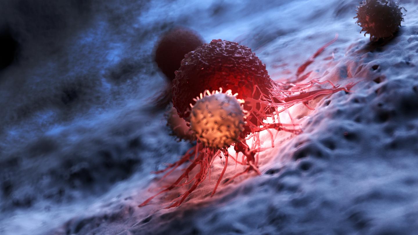 Car T Cell Therapy (2 of 2)