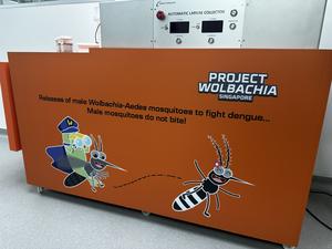 Project Wolbachia Singapore