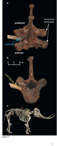 Tracing the First North American Hunters (2 of 3)