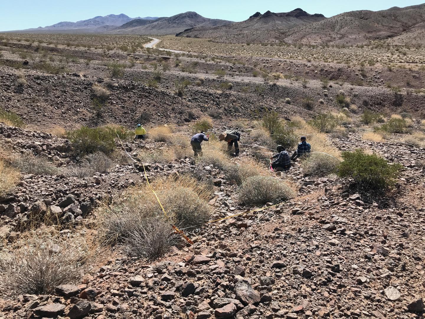 Visiting a Mojave Desert field site