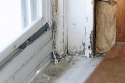 Old Paint Peeling