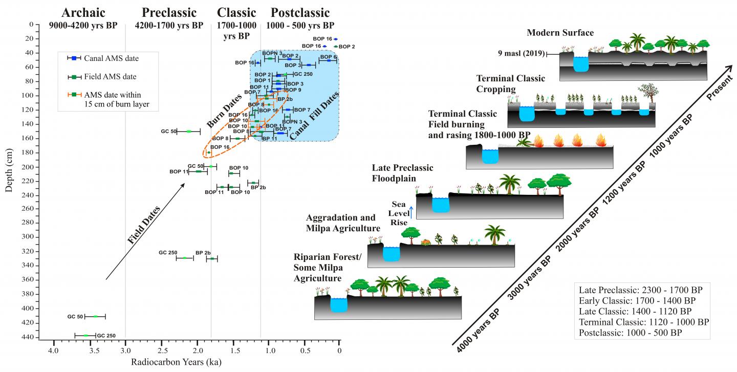 Wetland Formation