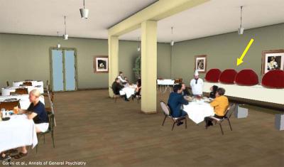 The VR Environment