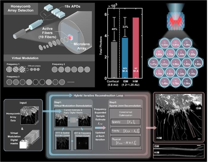 Detection efficiency gain and reconstruction workflow of hybrid iterative ptychographic super-resolution microscopy