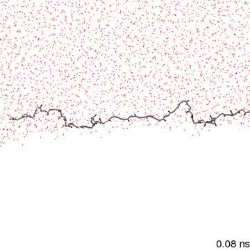 Molecular Dynamics Simulations of the A&#946; Peptide at the Hydrophilic/Hydrophobic Interface