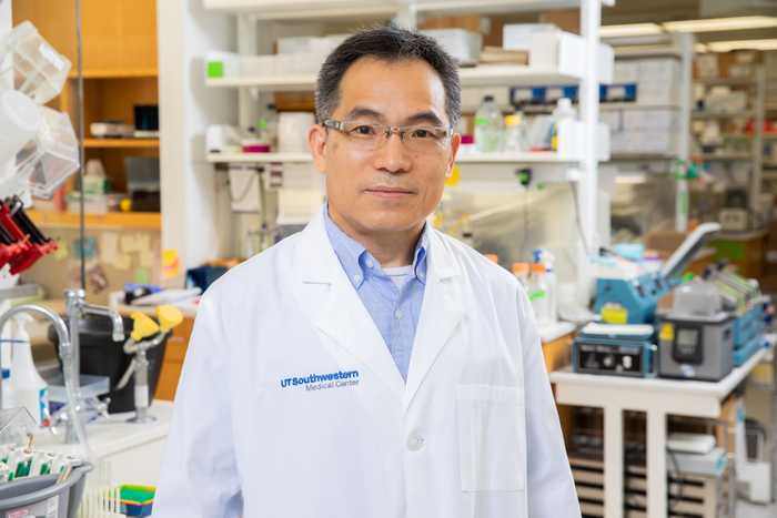 Single protein prompts mature brain cells to regenerate multiple cell types