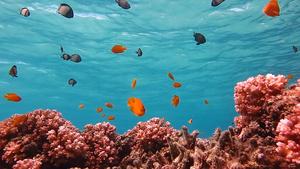 A boat going over a reef
