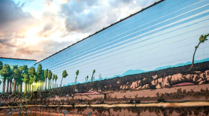 Critical Zone Mural