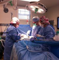 New Plastic Surgery Statistics Reveal Focus on Face and Fat