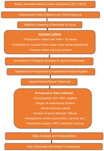 Flow chart of the study.