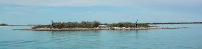 Island 214