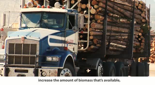 Bioenergy