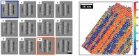 Crystal Motifs Polymer Peptoid