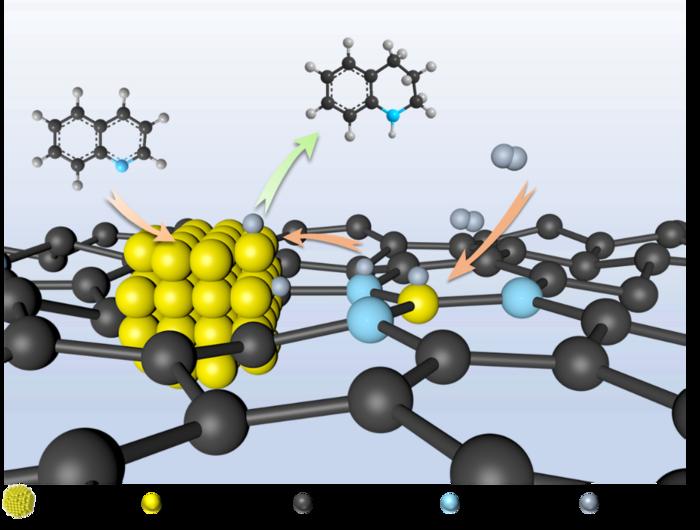 The proposed mechanism of synergy catalysis of Ru single atom and Ru nanoparticle for the selective hydrogenation of quinoline
