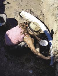 Poggetti Vecchi, Grosseto (Italy). Excavation of the Tusk of a Straight-tusked Elephant