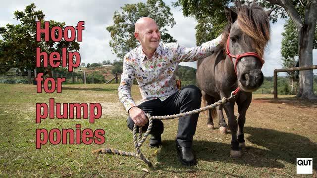 Treating Laminitis in Horses and Ponies