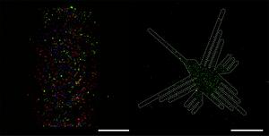 LEVA Micropattern Images
