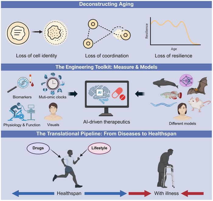 Toward actionable interventions in human aging (12th ARDD meeting, 2025)